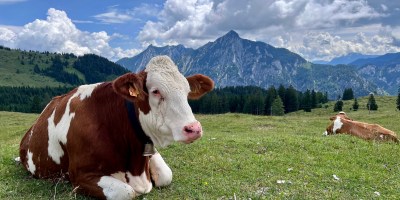 dovolená s dětmi v Rakousku