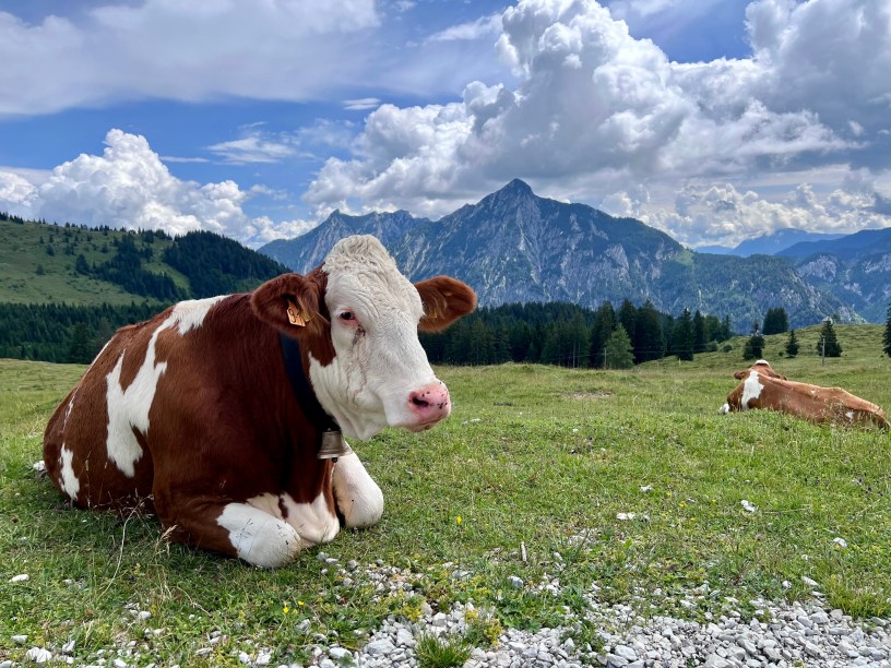 dovolená s dětmi v Rakousku