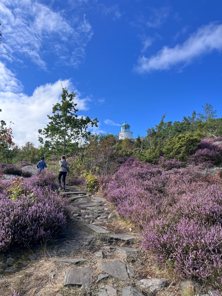 Nordkoster Kosterhavets NP