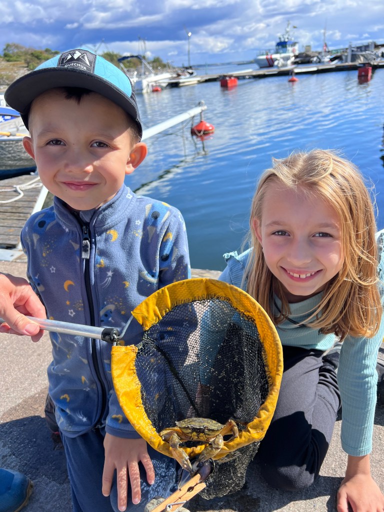 Kosterhavets NP krabi