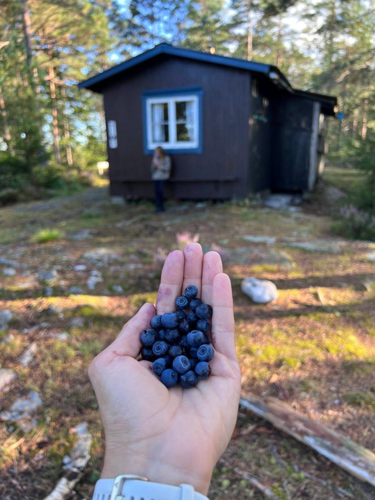 Kolnestugan Švédsko